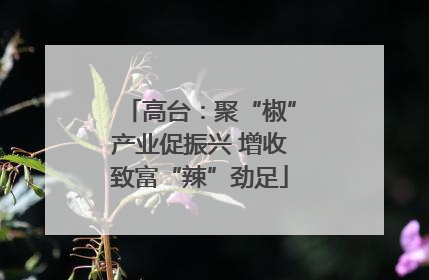 高台：聚“椒”产业促振兴 增收致富“辣”劲足