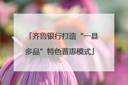 齐鲁银行打造“一县多品”特色普惠模式