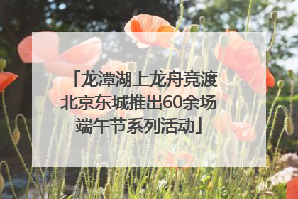 龙潭湖上龙舟竞渡 北京东城推出60余场端午节系列活动