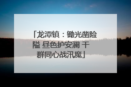 龙潭镇：锄光凿险隘 昼色护安澜 干群同心战汛魔