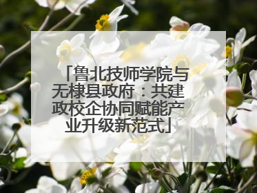 鲁北技师学院与无棣县政府：共建政校企协同赋能产业升级新范式