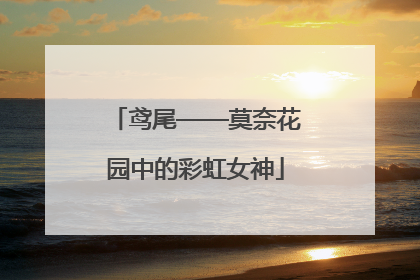鸢尾——莫奈花园中的彩虹女神