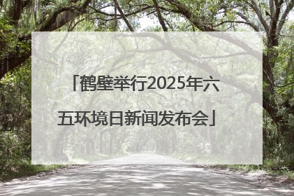 鹤壁举行2025年六五环境日新闻发布会