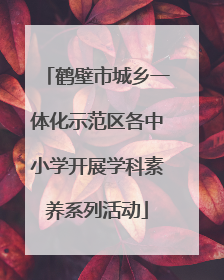鹤壁市城乡一体化示范区各中小学开展学科素养系列活动