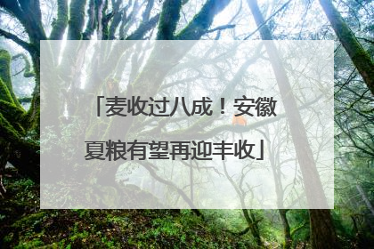 麦收过八成！安徽夏粮有望再迎丰收