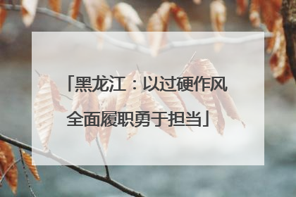 黑龙江：以过硬作风全面履职勇于担当