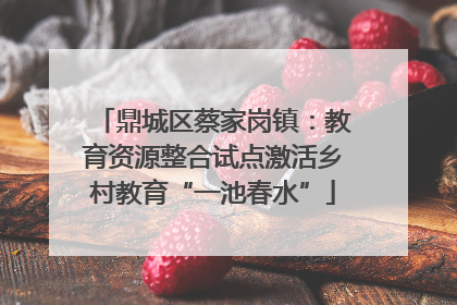 鼎城区蔡家岗镇：教育资源整合试点激活乡村教育“一池春水”