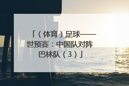 （体育）足球——世预赛：中国队对阵巴林队（3）