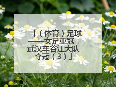 （体育）足球——女足亚冠：武汉车谷江大队夺冠（3）