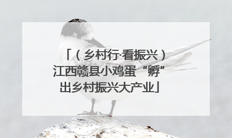 （乡村行·看振兴）江西赣县小鸡蛋“孵”出乡村振兴大产业