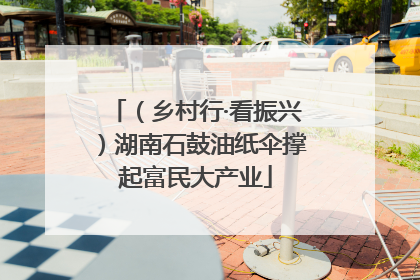 （乡村行·看振兴）湖南石鼓油纸伞撑起富民大产业