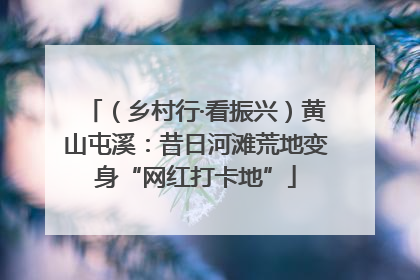 （乡村行·看振兴）黄山屯溪：昔日河滩荒地变身“网红打卡地”