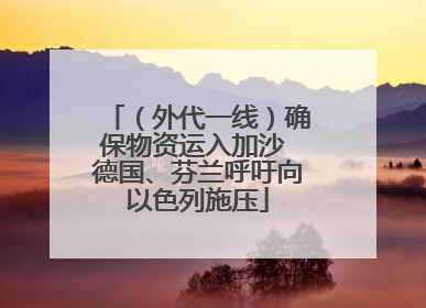 （外代一线）确保物资运入加沙 德国、芬兰呼吁向以色列施压