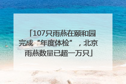 107只雨燕在颐和园完成“年度体检”，北京雨燕数量已超一万只