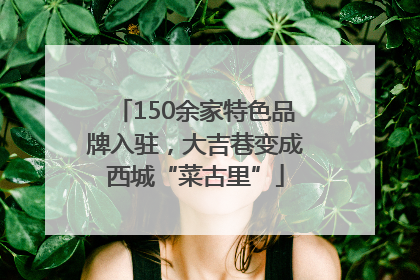 150余家特色品牌入驻，大吉巷变成西城“菜古里”