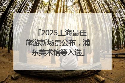 2025上海最佳旅游新场景公布，浦东美术馆等入选