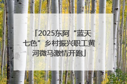 2025东阿“蓝天七色”乡村振兴职工黄河微马激情开跑