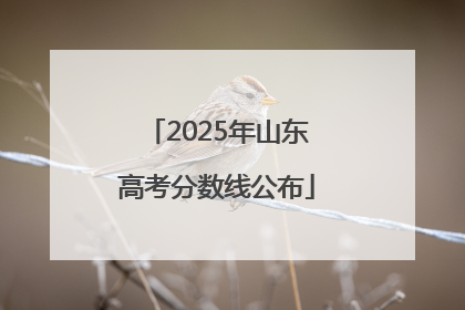 2025年山东高考分数线公布