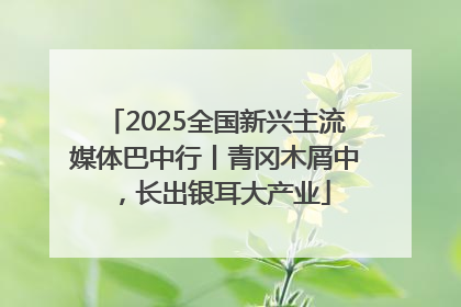 2025全国新兴主流媒体巴中行丨青冈木屑中，长出银耳大产业