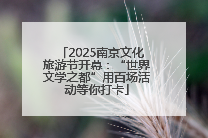 2025南京文化旅游节开幕：“世界文学之都”用百场活动等你打卡