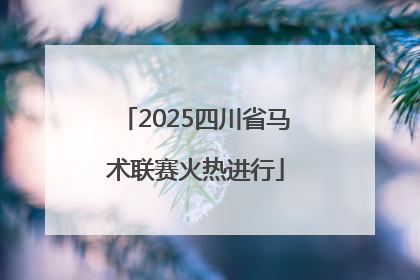 2025四川省马术联赛火热进行