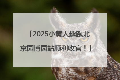 2025小黄人趣跑北京园博园站顺利收官！