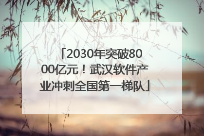 2030年突破8000亿元！武汉软件产业冲刺全国第一梯队