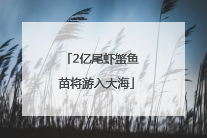 2亿尾虾蟹鱼苗将游入大海