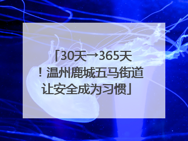 30天→365天！温州鹿城五马街道让安全成为习惯