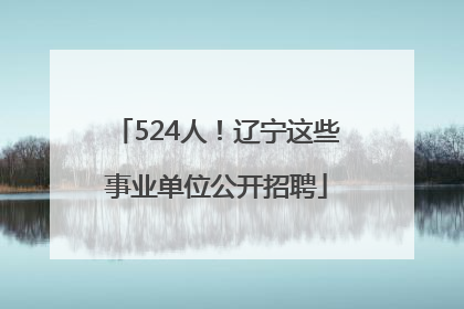 524人！辽宁这些事业单位公开招聘