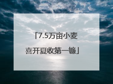 7.5万亩小麦喜开夏收第一镰