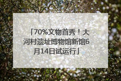 70%文物首秀！大河村遗址博物馆新馆6月14日试运行