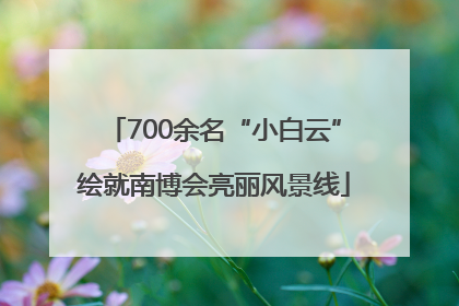 700余名“小白云”绘就南博会亮丽风景线