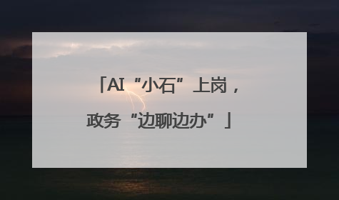 AI“小石”上岗，政务“边聊边办”