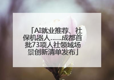 AI就业推荐、社保机器人……成都首批73项人社领域场景创新清单发布