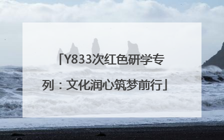 Y833次红色研学专列：文化润心筑梦前行